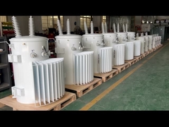 محول مثبت على القطب