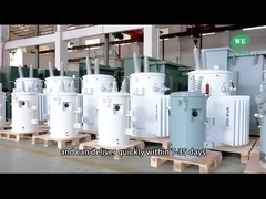 محول مثبت القطب